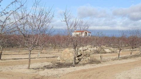 finca en venta almendros olivar viña regadío en Toledo