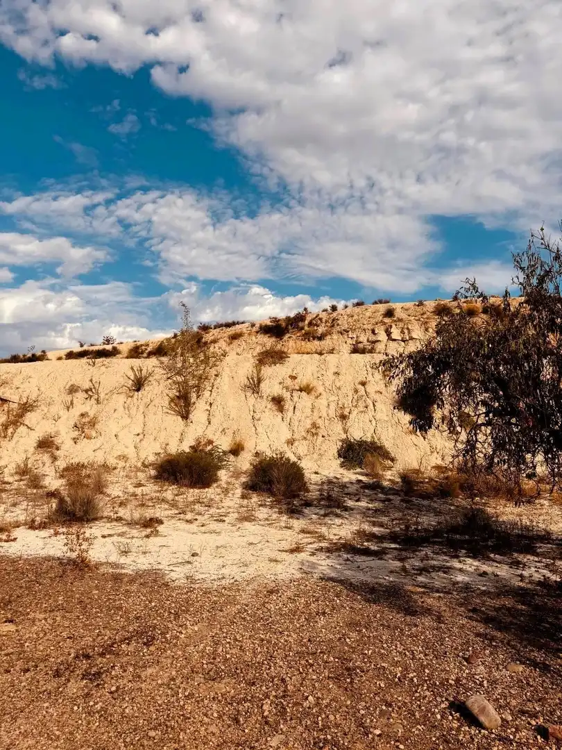 Terrain rustique à vendre à Campo de Murcia, imagen 11