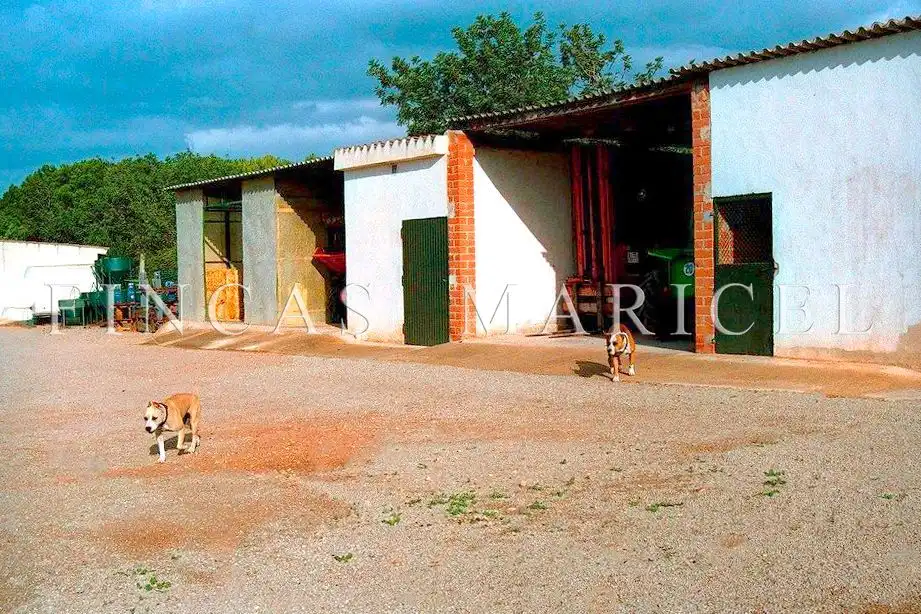 Vista exterior de Finca rústica en venta en El Vendrell con Calefacción, Jardín privado y Terraza