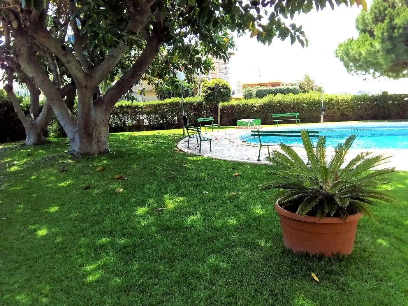Wohnung mit Pool zur Miete in Carrer de Juan de la Cierva 27, imagen 39