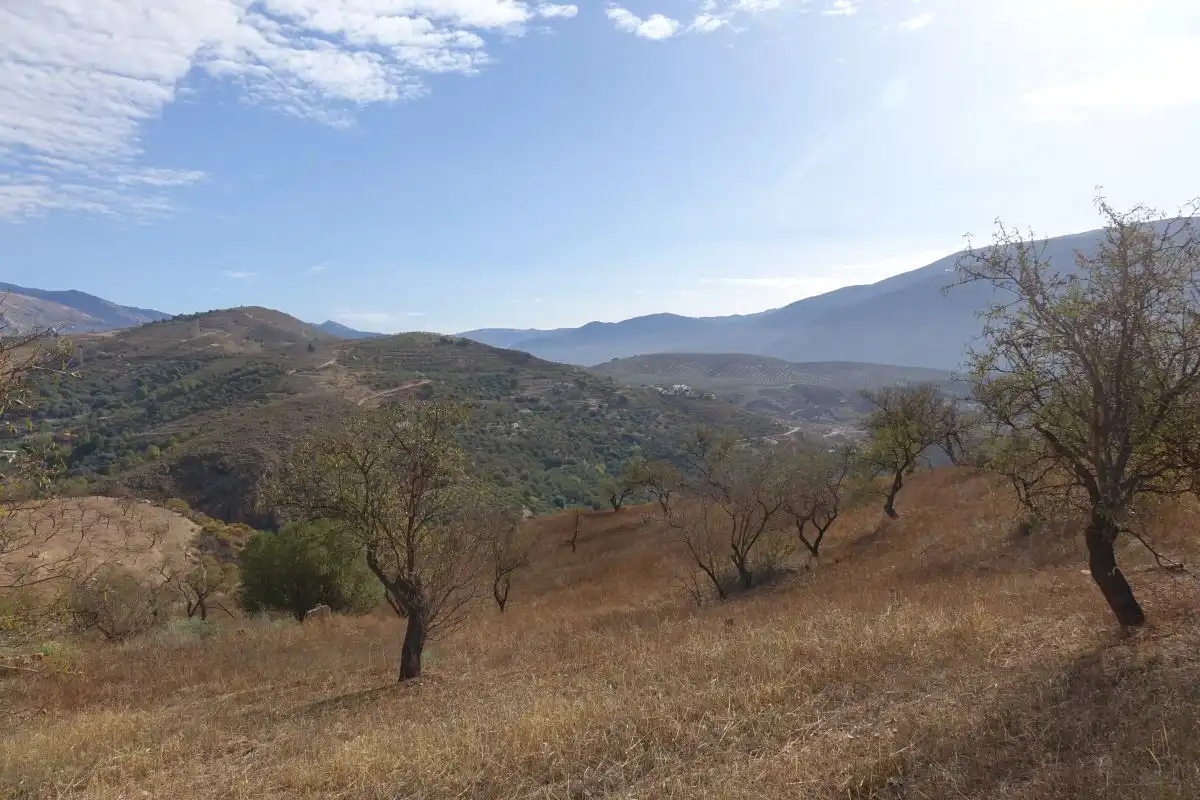 Vista exterior de Finca rústica en venta en Lanjarón
