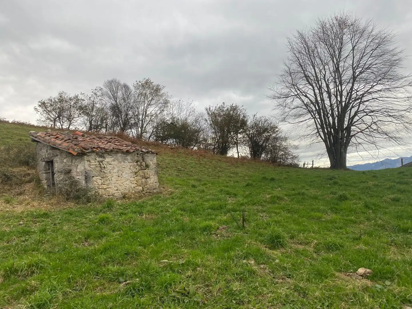 Terreno rustico in vendita a Següenco, imagen 12
