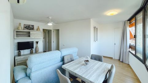 Photo 5 of Apartments for rent in Rincón Alto, Benidorm