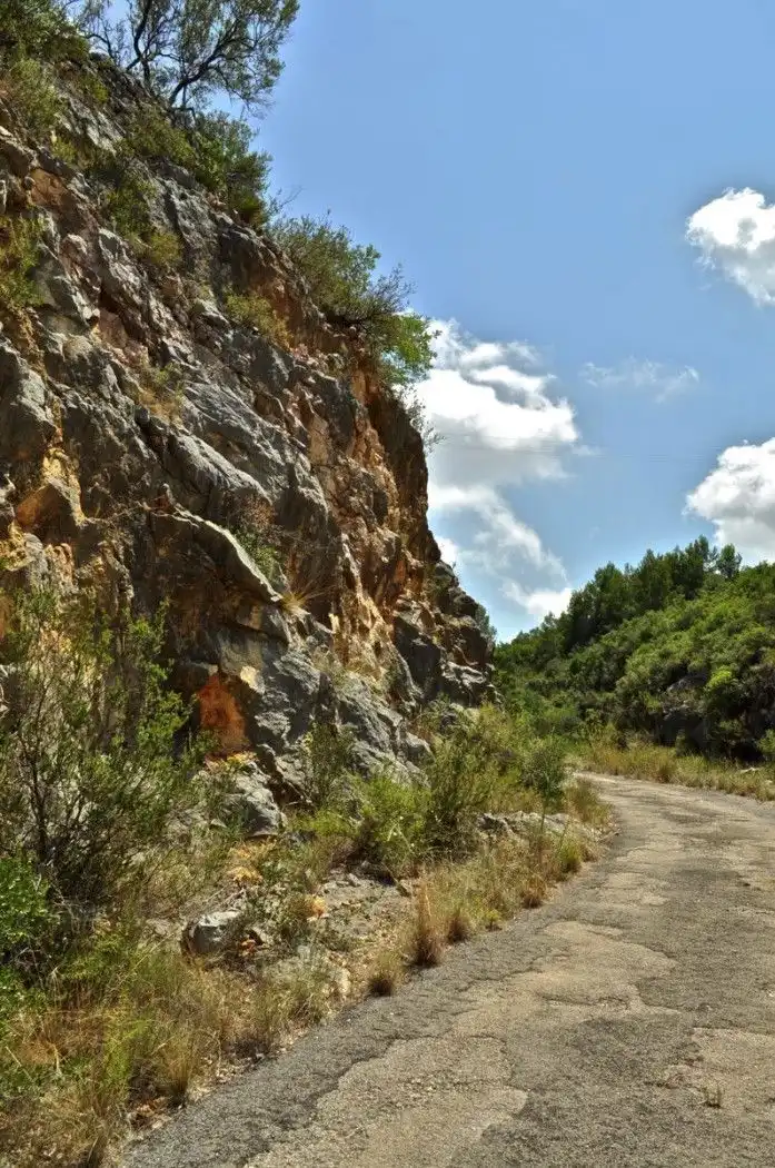 Land for sale in Camí del Barranc de la Llet, 26, Sant Llàtzer