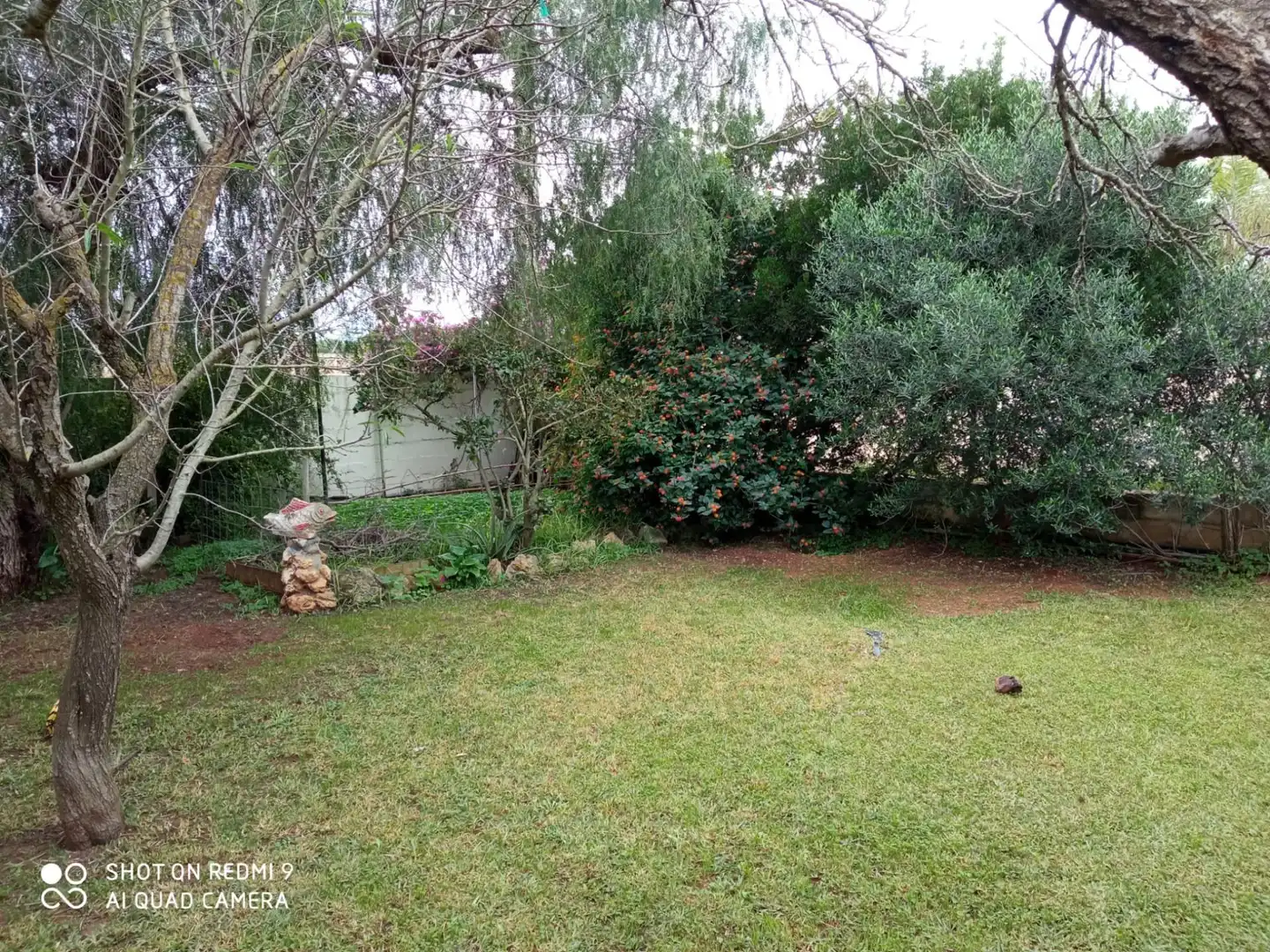 Jardí de Casa o xalet en venda en Chiclana de la Frontera amb Jardí privat, Terrassa i Traster