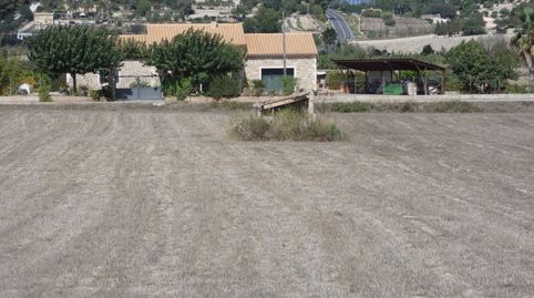 Finca edificable en  Sineu.