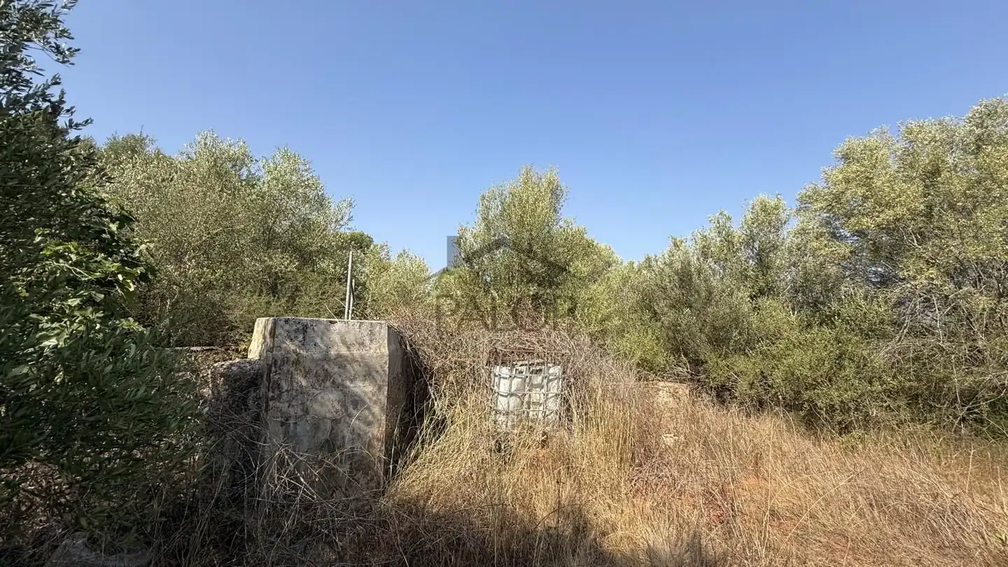 Country house for sale in Rafelguaraf, imagen 6