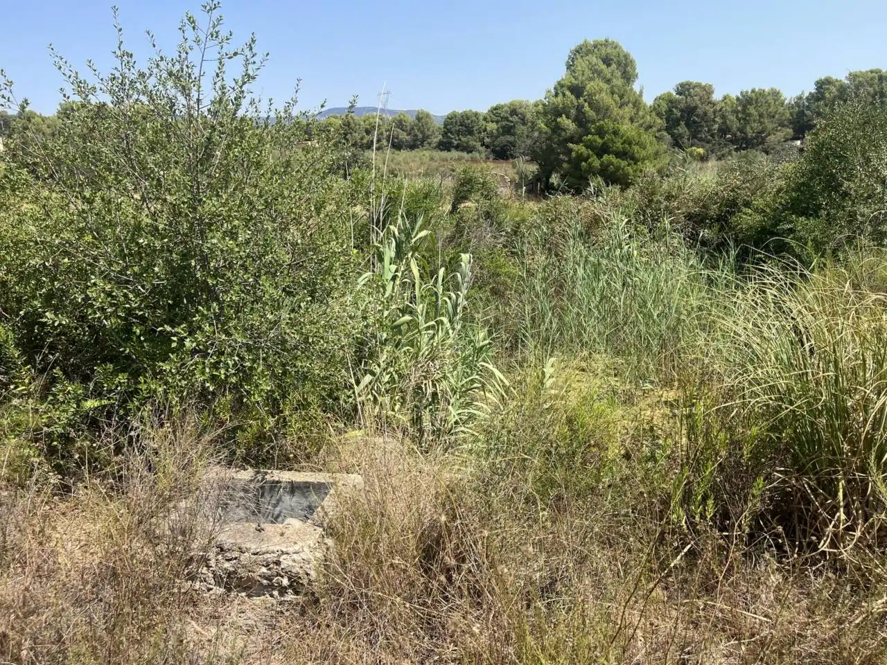 Rural land for sale in Camino Aleixar 15, imagen 13