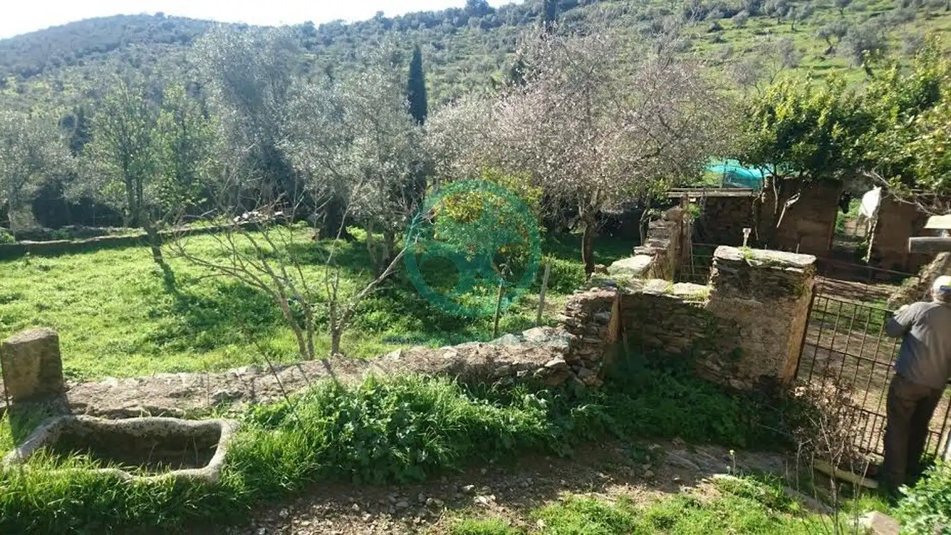 Xalet amb jardí en venda a Calle Buenavista, imagen 15