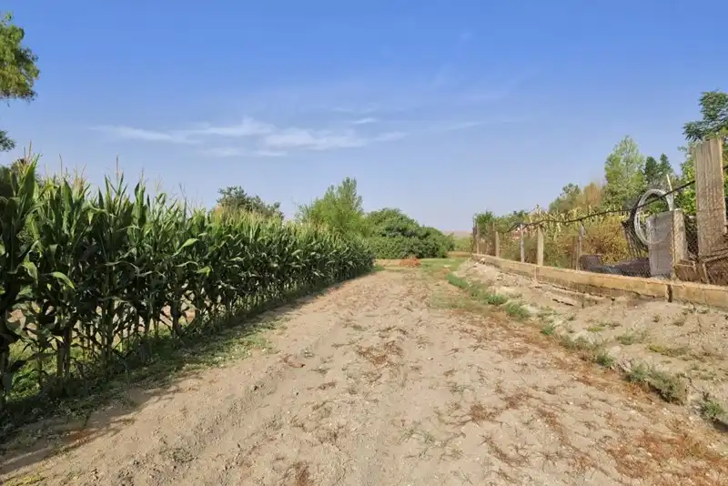Terreni e lotti in vendita a Padul, imagen 35