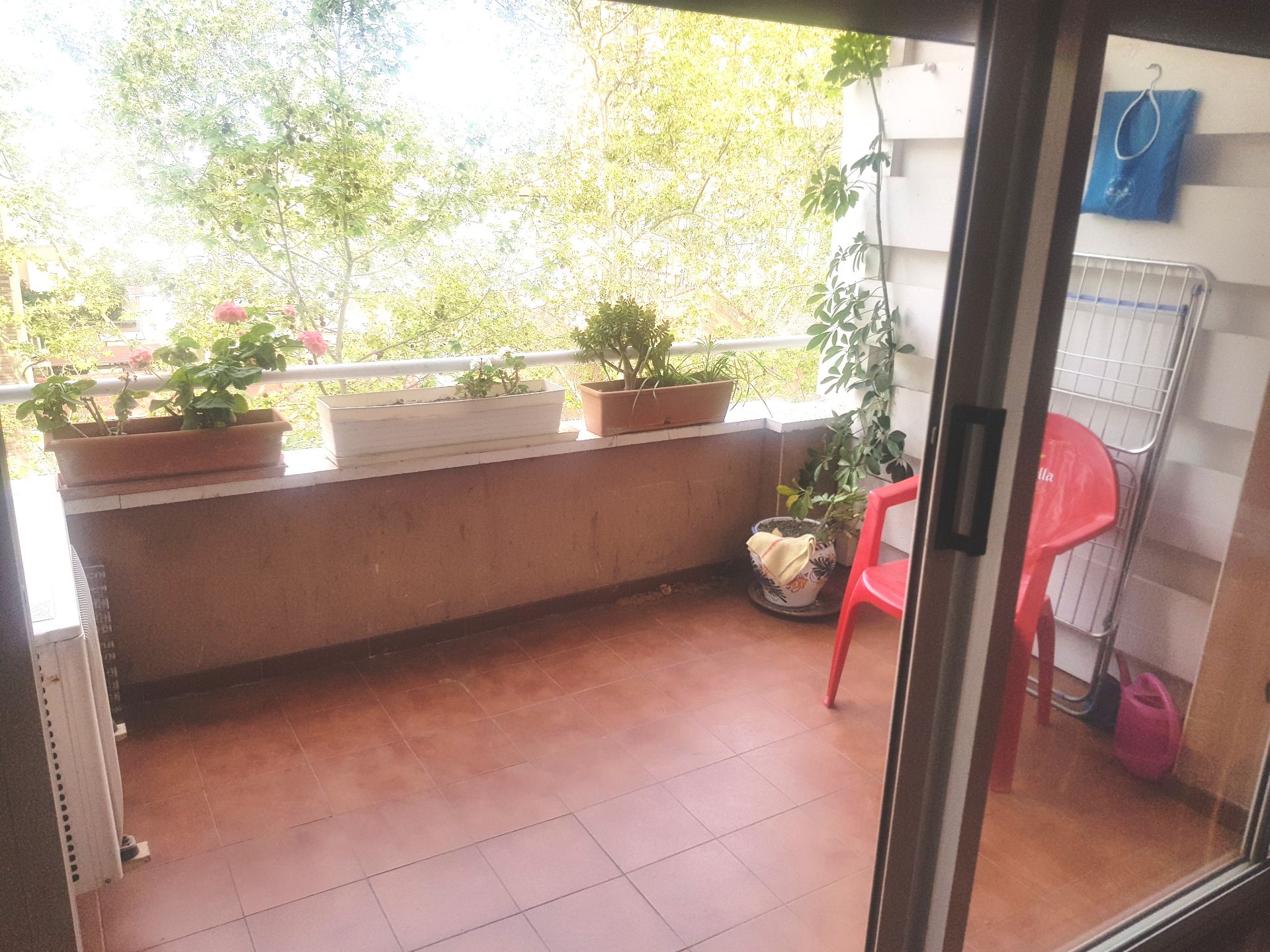 Flat to rent in Passeig Maragall
