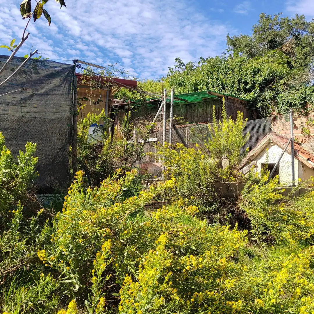 Terreny residencial en venda a Calle de Juan Ramón Jiménez 20, imagen 22