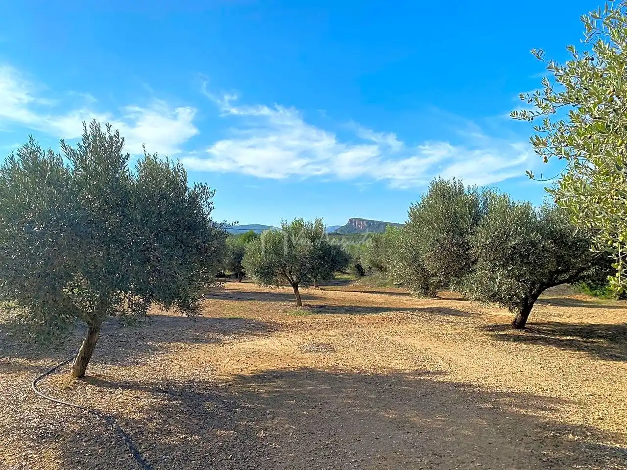 Rural land for sale in Partida Pedres, imagen 2
