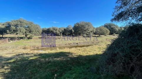 Foto 3 de Casa o xalet en venda a Miajadas, Cáceres