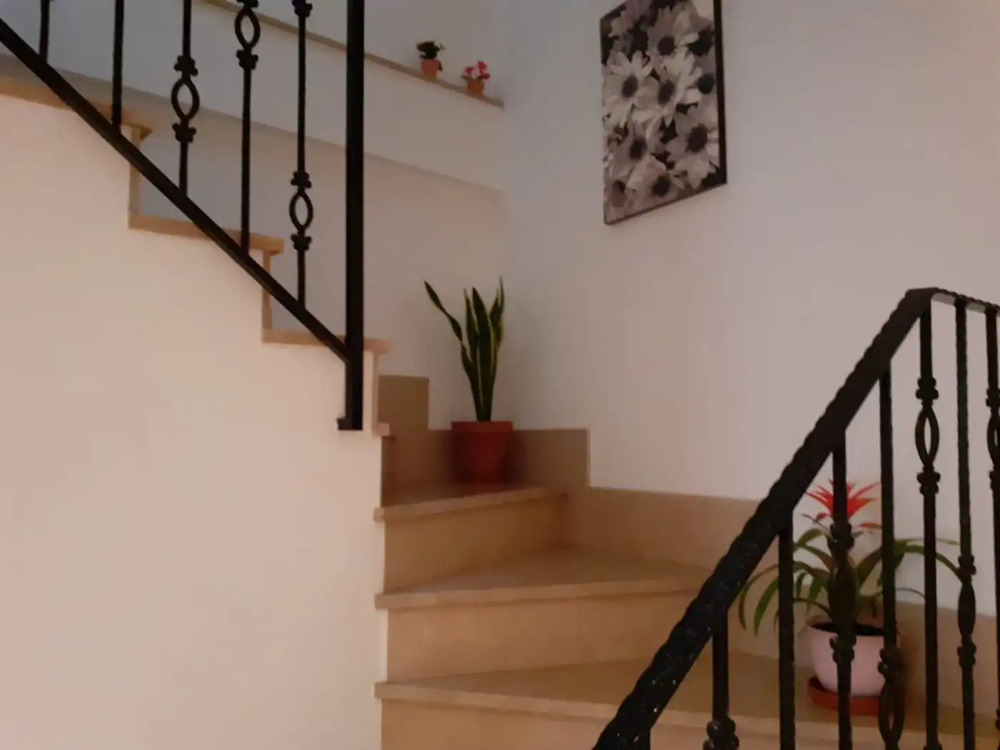 Maison à vendre à Purchena, imagen 19
