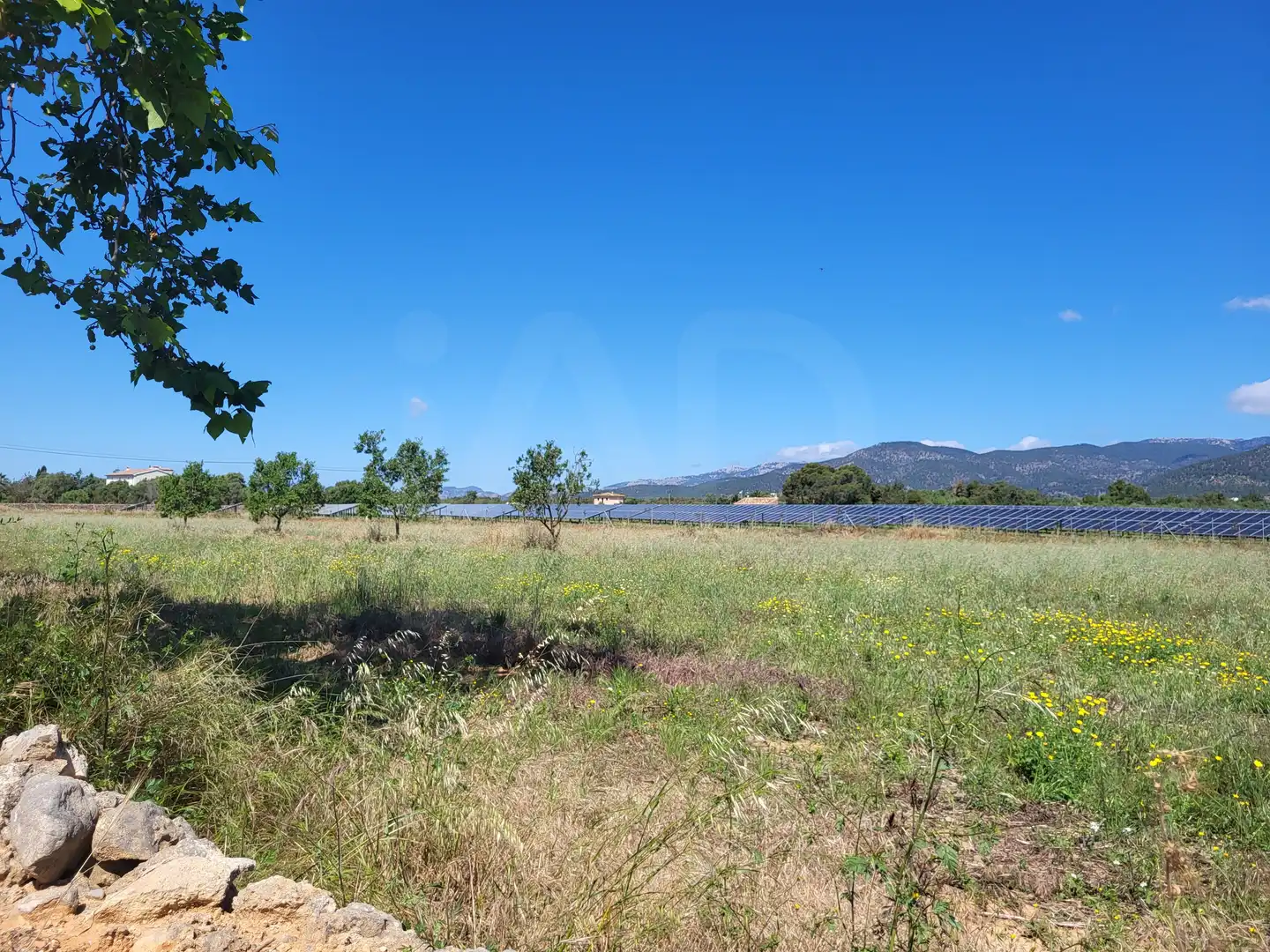 Terrain rustique à vendre à Polígono 2 Parcela 1, imagen 4