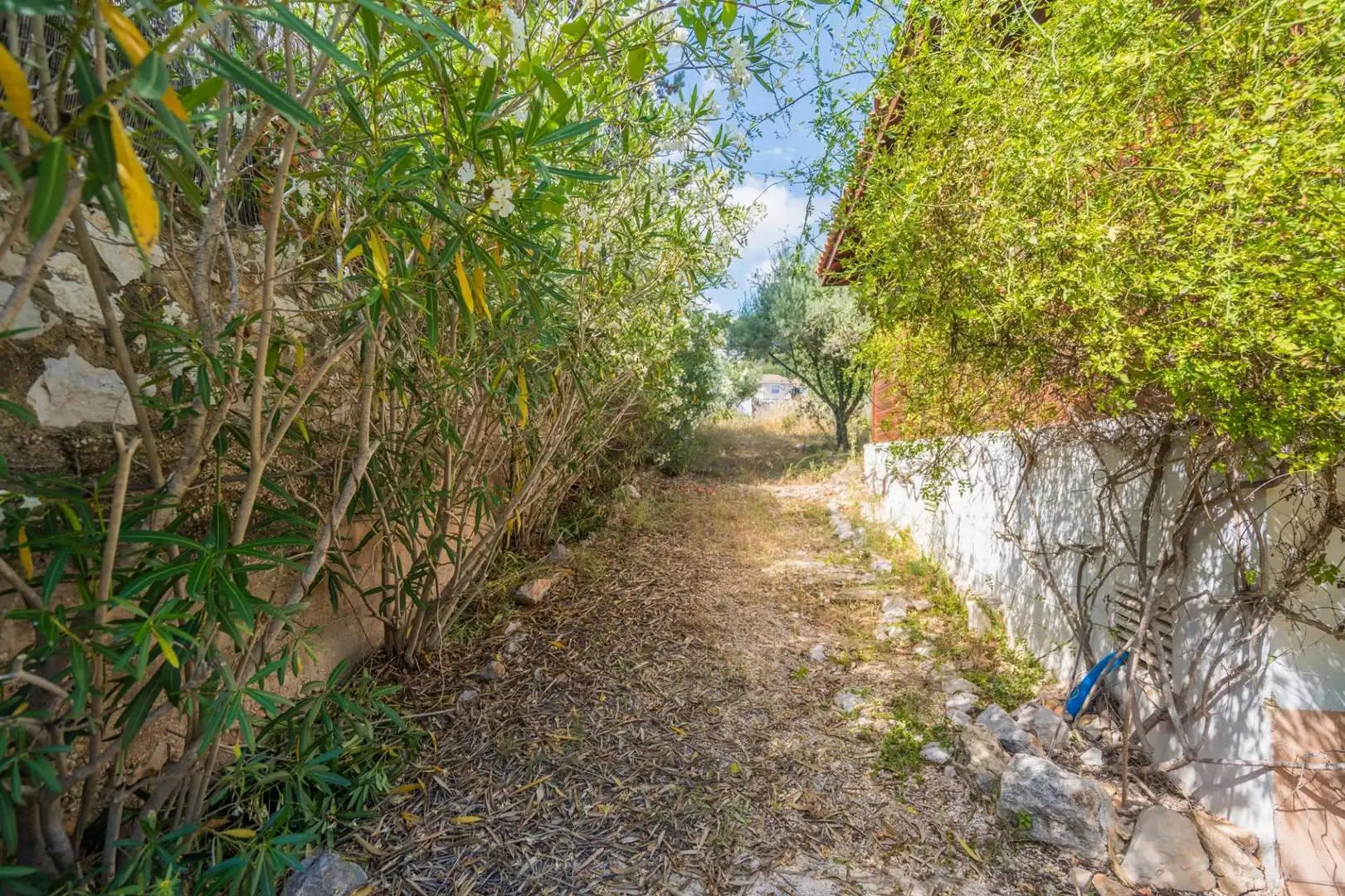 Jardín de Casa o chalet en venta en Torrent con Aire acondicionado, Calefacción y Jardín privado