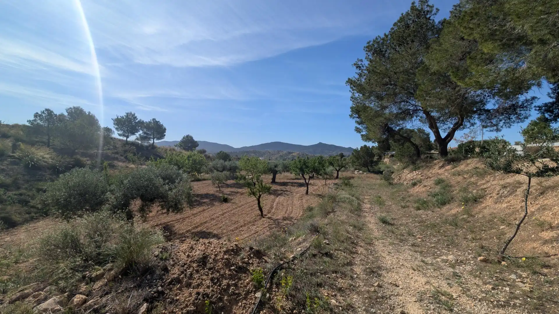 Casa con jardín en venta en Hondón de las Nieves / El Fondó de les Neus, imagen 82