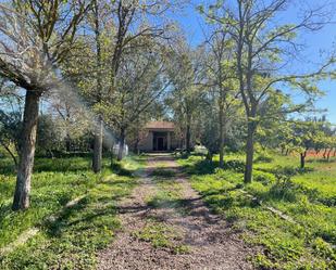 Finca rústica en venda en Argamasilla de Calatrava amb Terrassa i Piscina