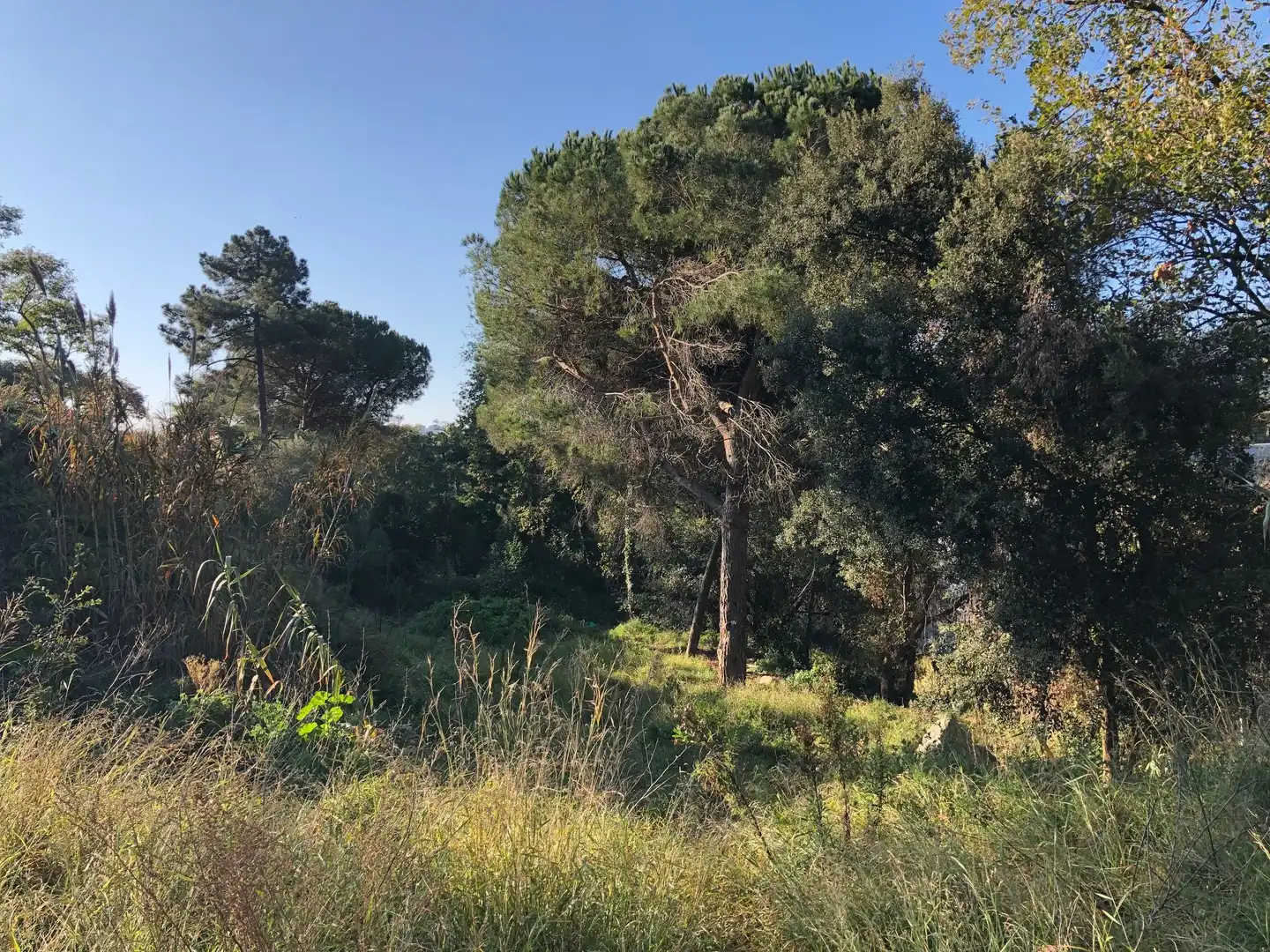 Residential land for sale in Cabrils, imagen 8