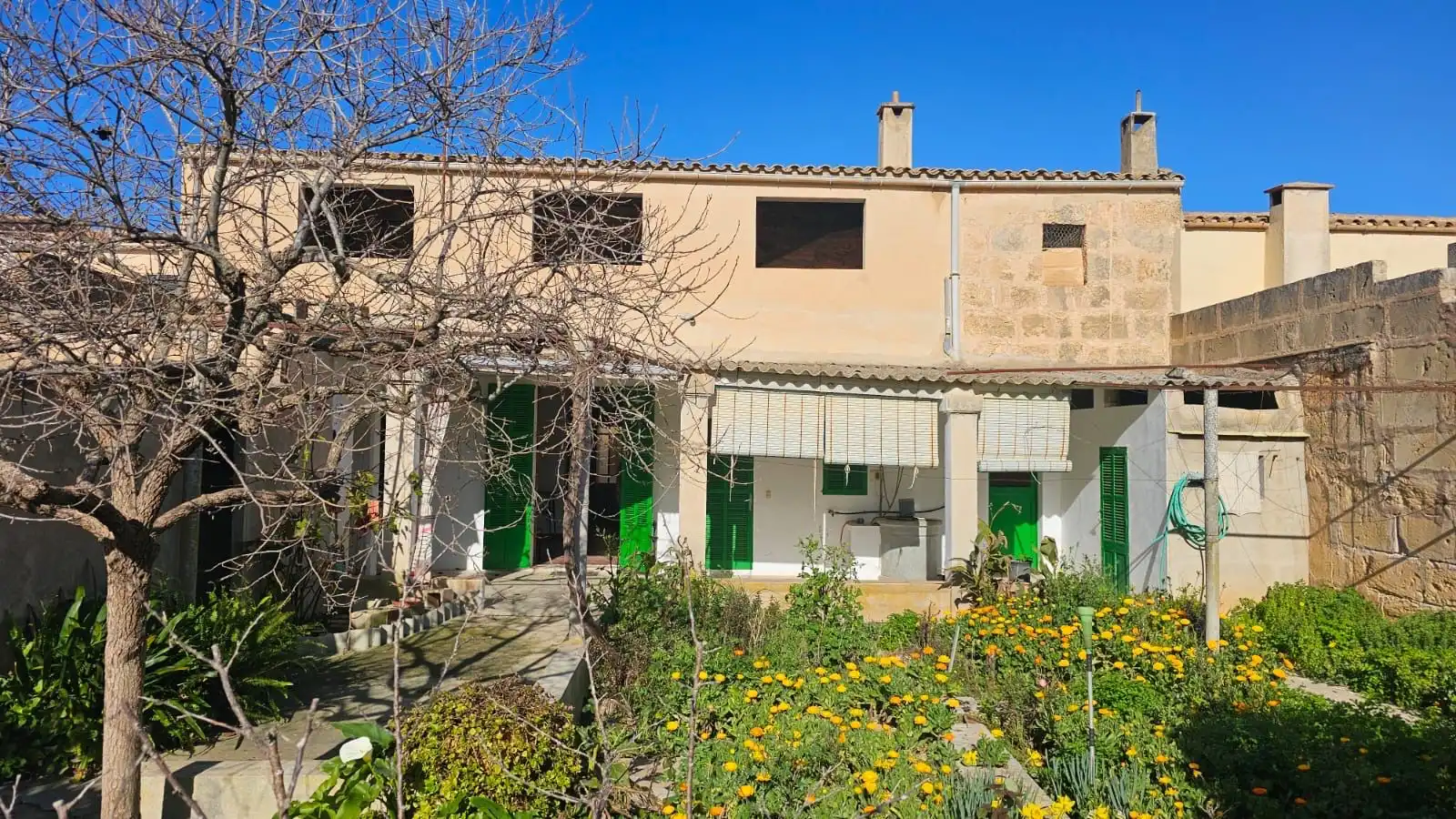 Exterior view of Houses for sale in Ariany
