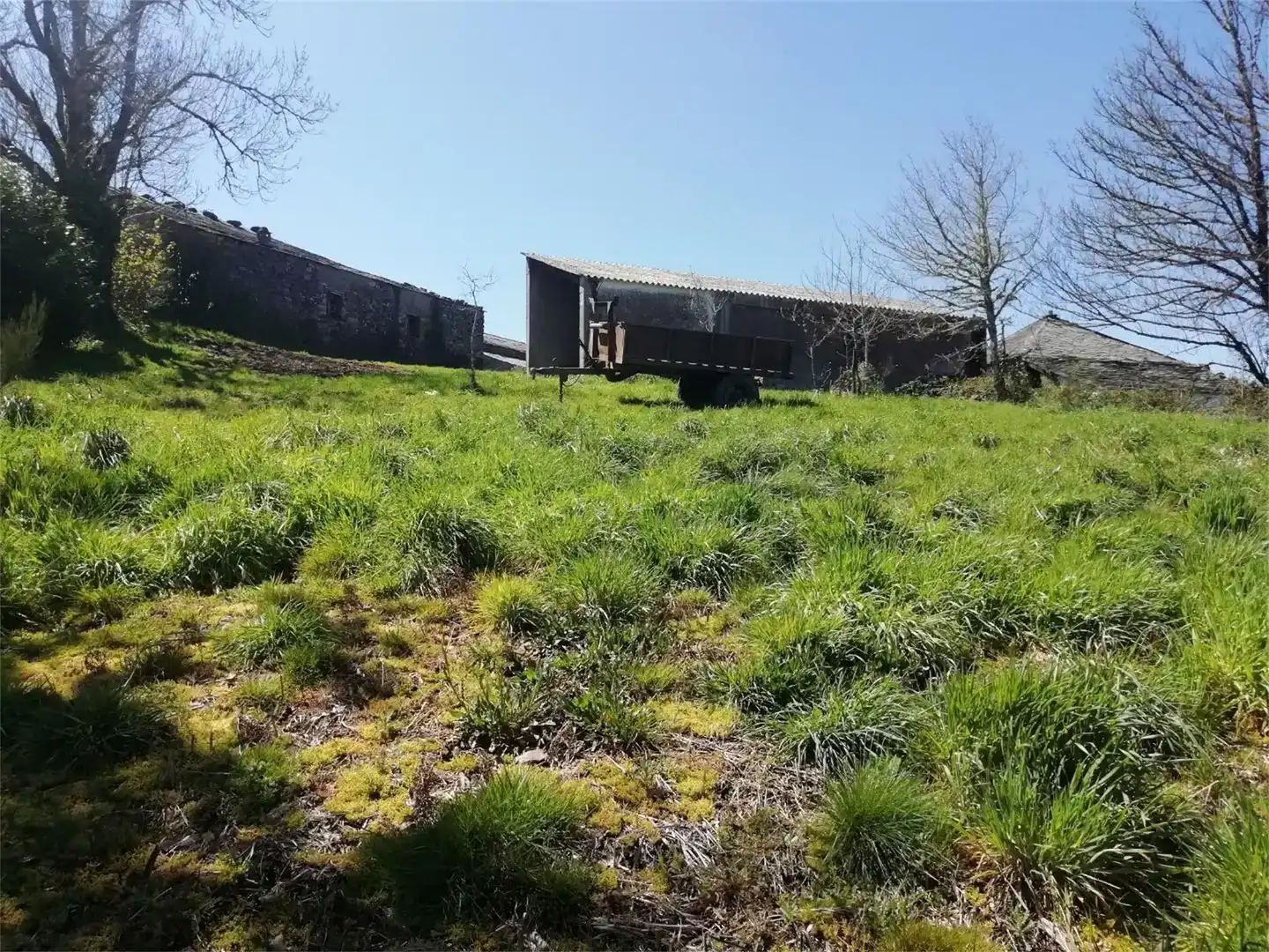 Finca rústica en venda en A Fonsagrada 