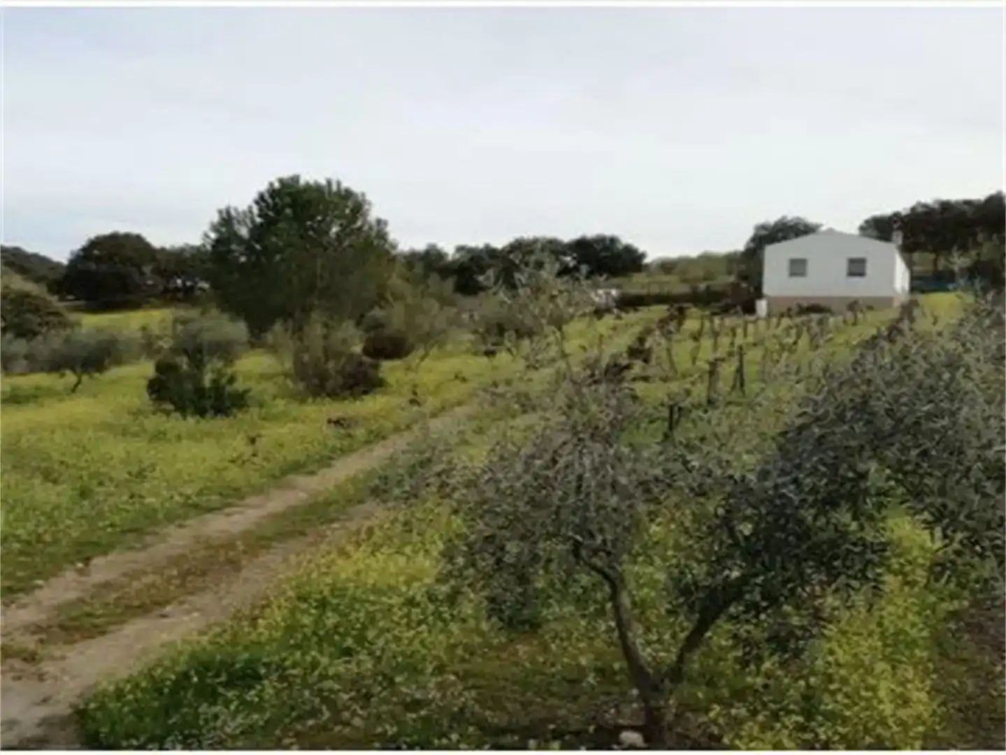 Terreno en venta en Talaván