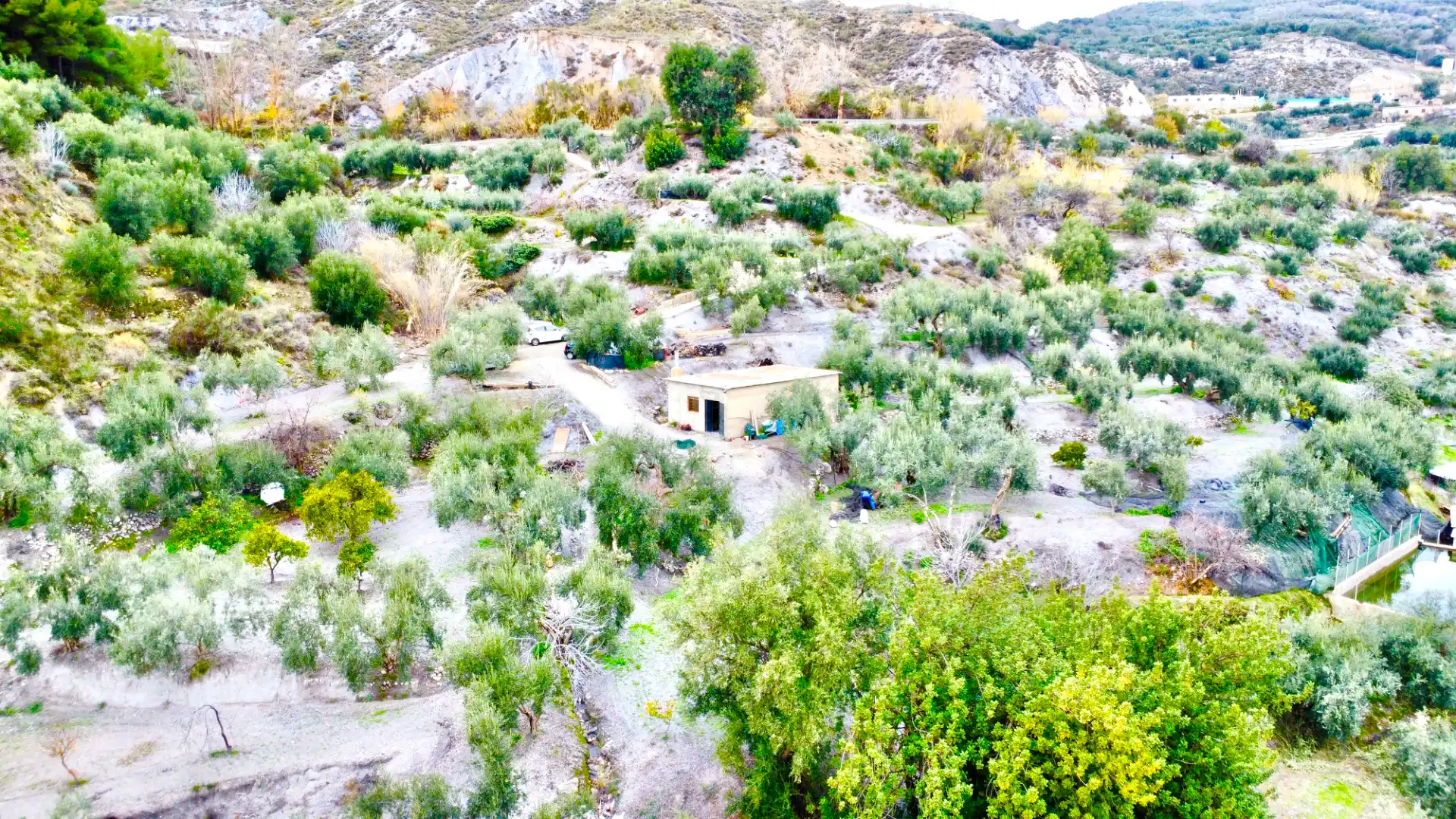 Terreni e lotti in vendita a Lugar Cortijo El Peñon, imagen 47