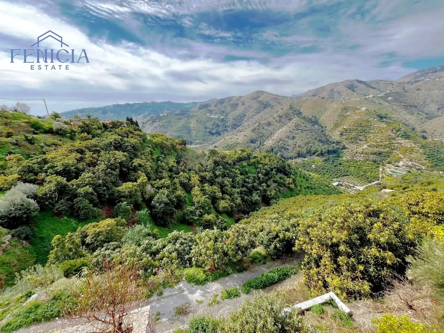 Casa con piscina en venta en Jete, imagen 17