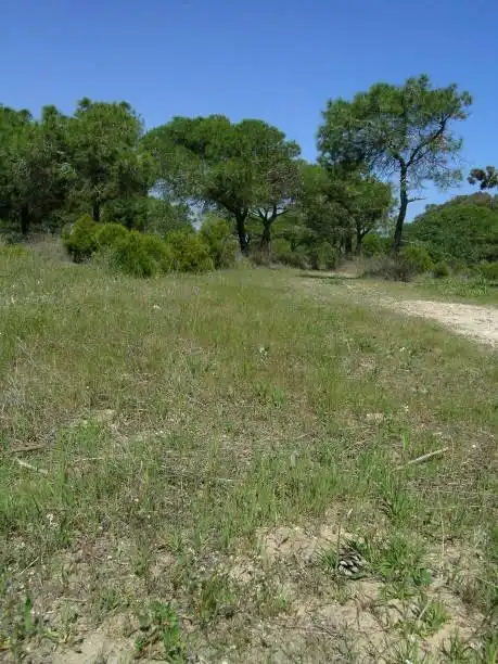 Terreny residencial en venda a Pueblo, imagen 4