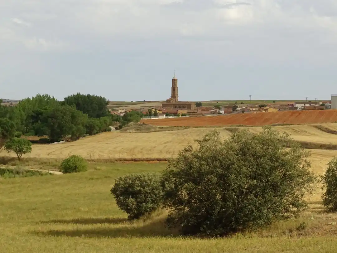 Vista exterior de Casa o xalet en venda en Ferreruela de Huerva