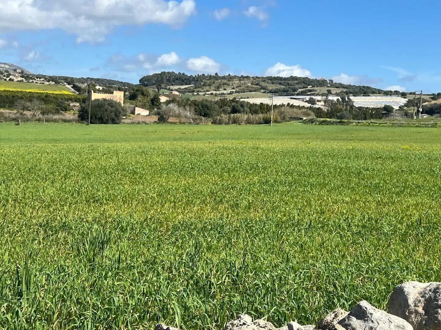 Casa rústica con jardín en venta en Manacor Centre, imagen 3