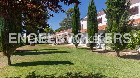 Finca de Ensueño en Requena Valencia, imatge 5