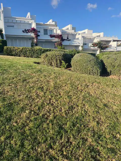 Villa à louer à Paseo Marítimo - San José - La Laguna, imagen 19