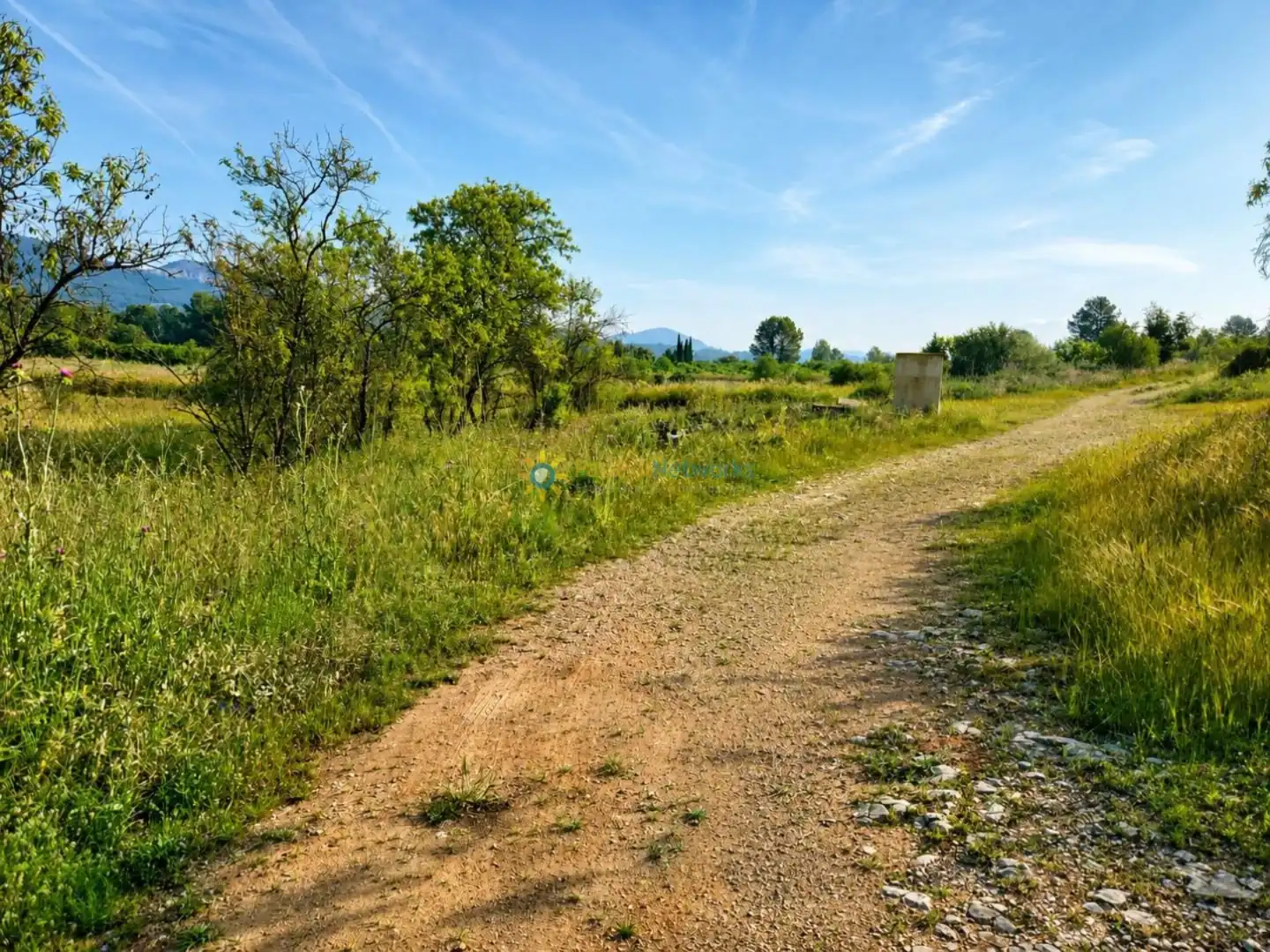 Rural land for sale in Benigànim, imagen 13