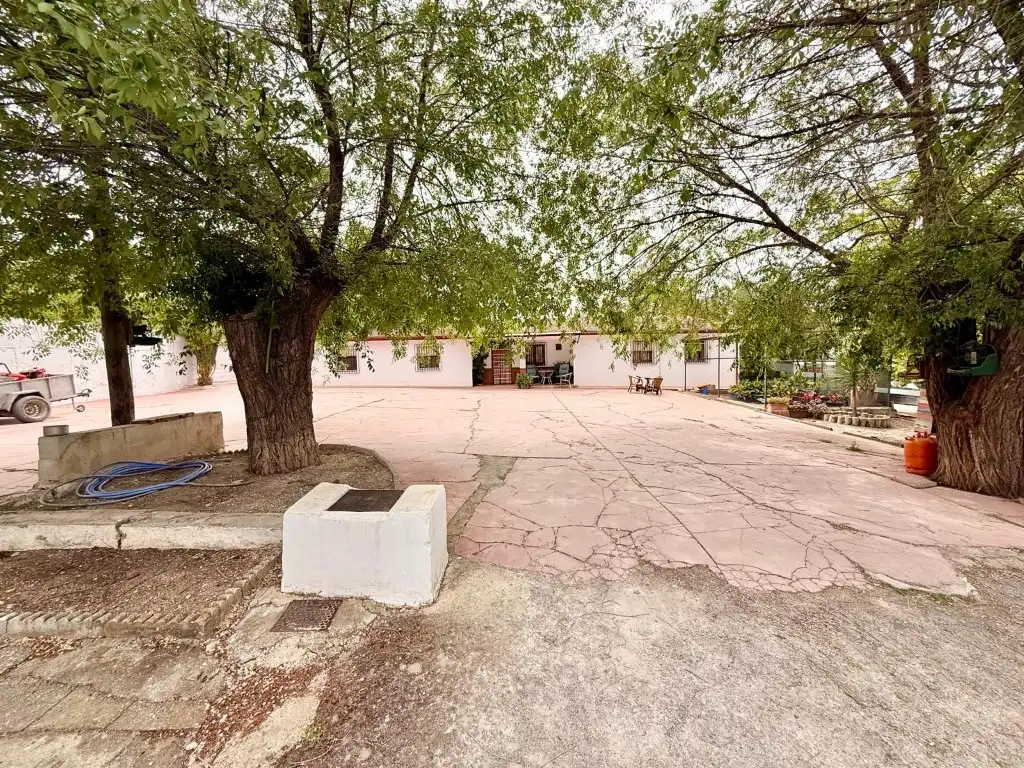 Casa en venta en Calle Jaen (Tu), imagen 21