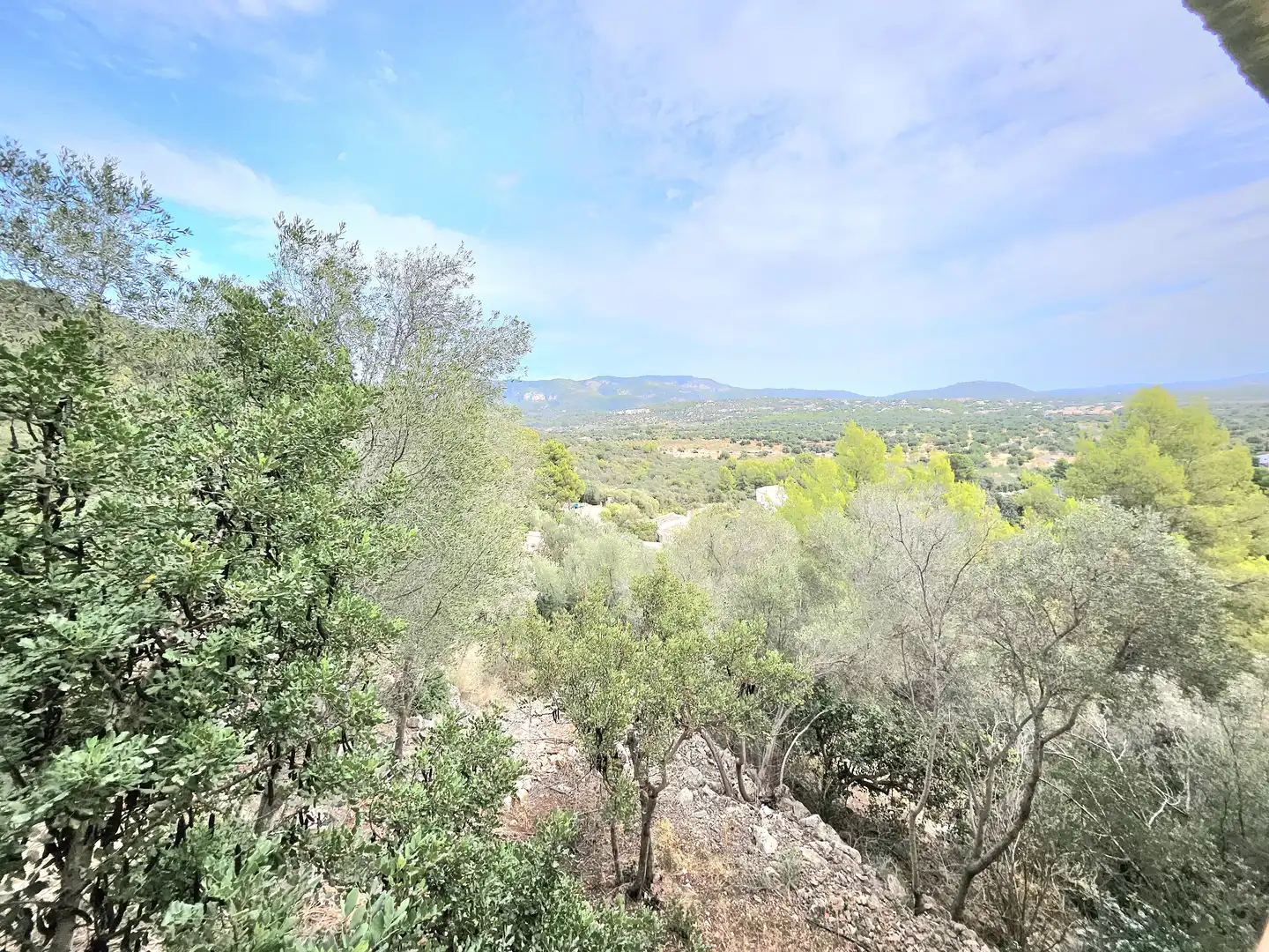 Houses for rent in Avinguda de sa Font Seca, 999, Bunyola
