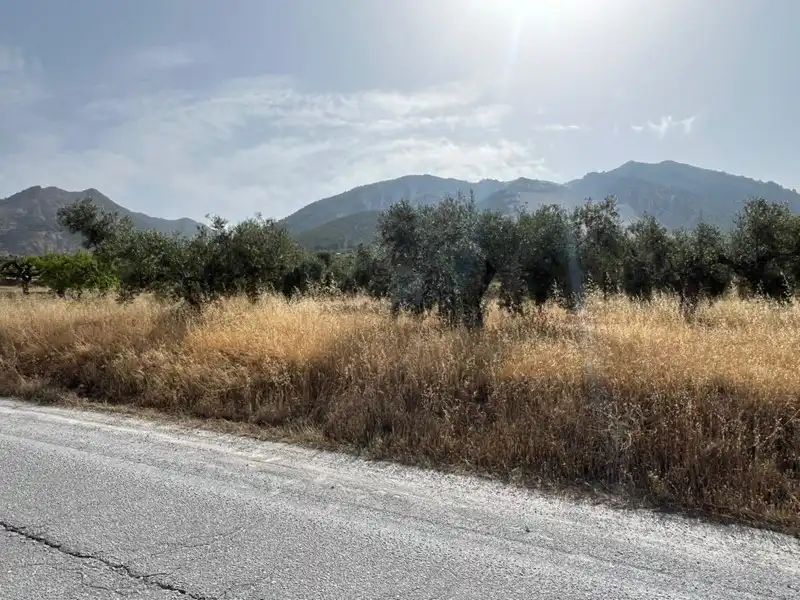 Rural land for sale in Dúrcal, imagen 6