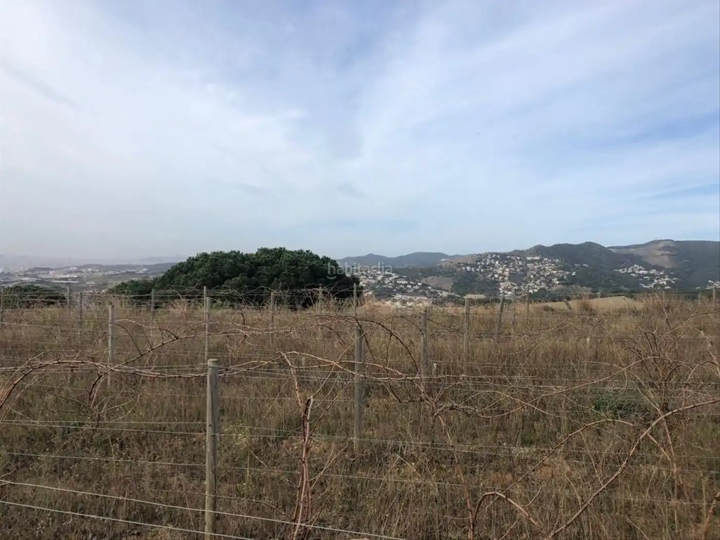 Terreno rústico en venta en Teià, imagen 5
