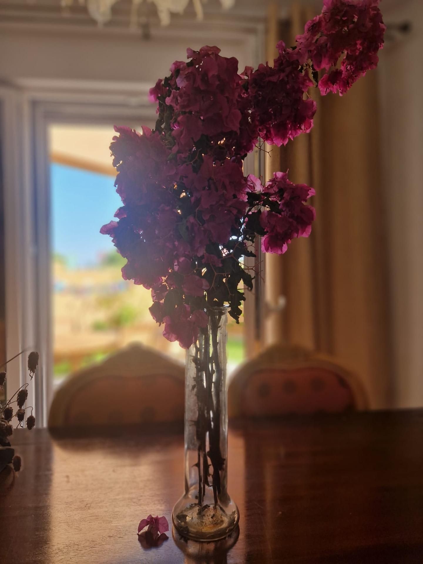 Dining room of House or chalet for sale in El Puerto de Santa María  with Air Conditioner, Private garden and Terrace