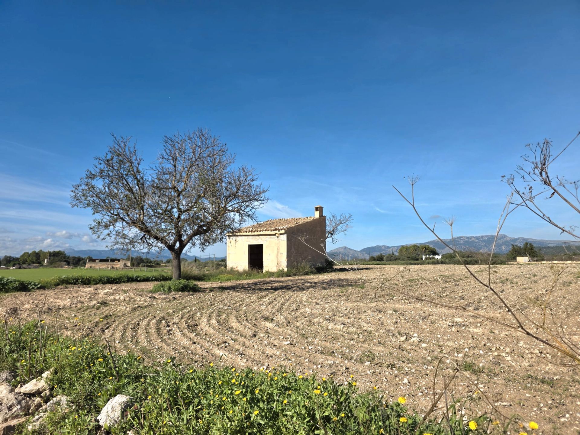 Land for sale in Marratxí