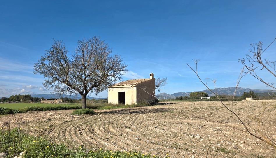 Photo 1 of Land for sale in Camí de Son Mulet, Marratxinet, Illes Balears