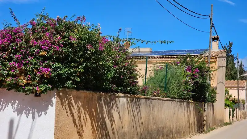 Jardín de Casa o chalet en venta en Santa María del Camí