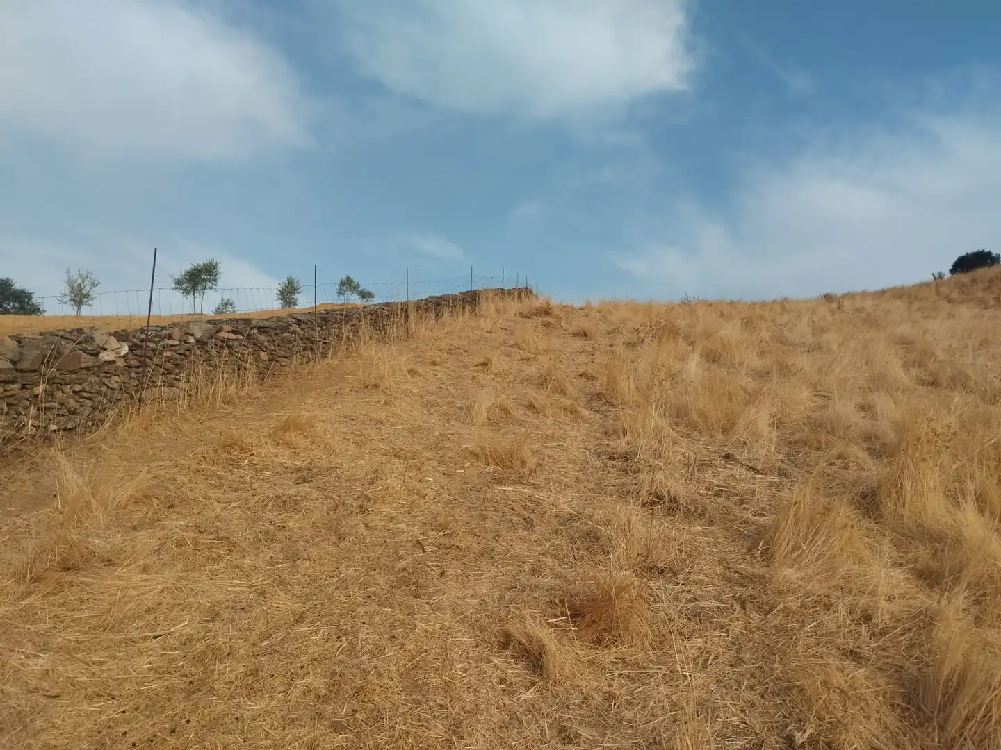 Terreni e lotti in vendita a Jerez de los Caballeros, imagen 14