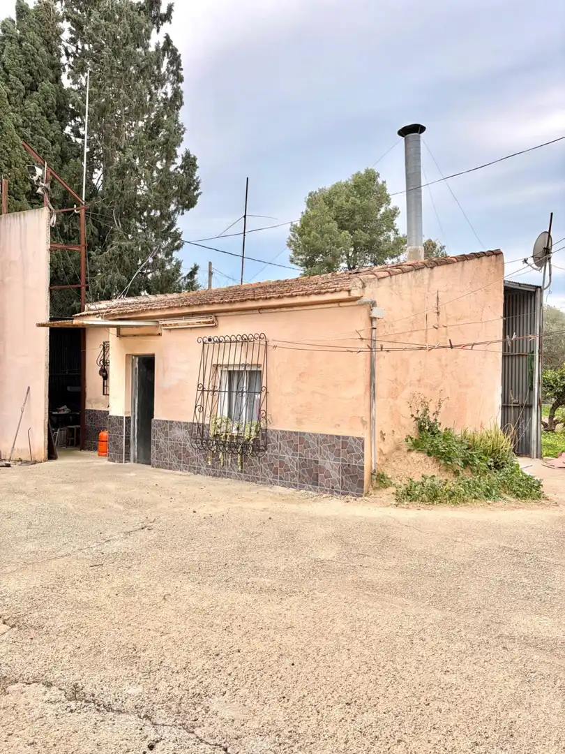 Vista exterior de Casa o chalet en venta en Murcia con Aire acondicionado, Jardín privado y Terraza