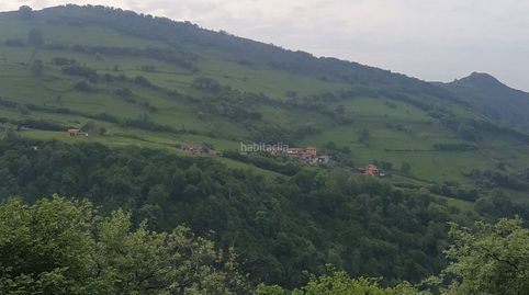 Finca urbana, immagine 5