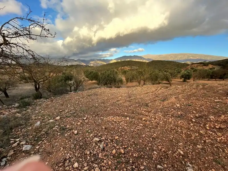 Terreny rústic en venda a Villamena, imagen 5