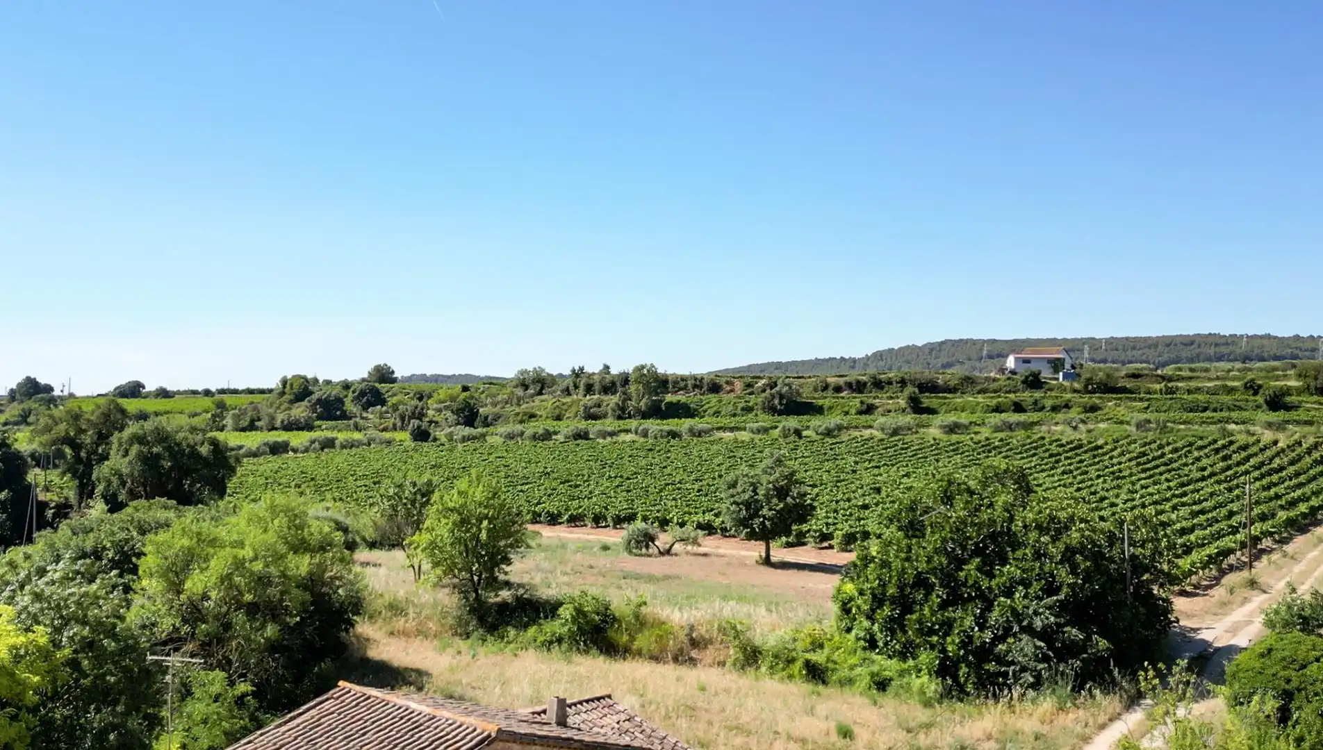 Casa rústica en venda a Carrer de la Serra de Dalt, imagen 5