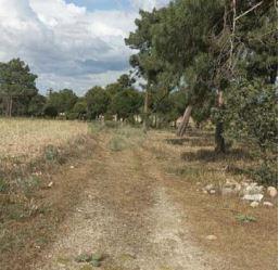 Residencial en venda en Villanueva de Gómez