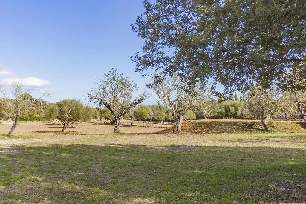 Land for sale in Pollença